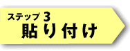 Xebv3 \t