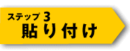 Xebv3 \t